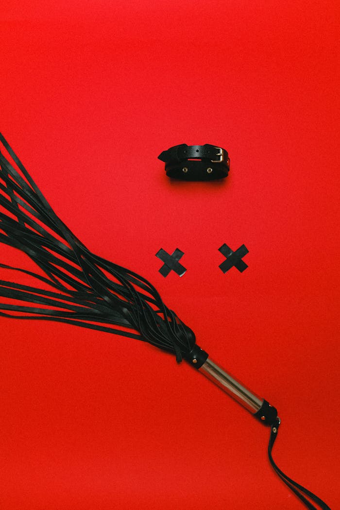 About Erotic BDSM accessories with leather choker and whip on striking red backdrop, emphasizing fetish themes.